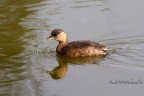 Av f/7.1 Tv 1/1250 Iso 400