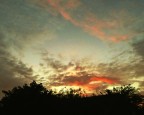 Alba