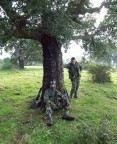 Brothers in arms