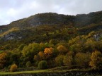 T 1/40 F 11 ISO 100 focale 18mm.
 Purtroppo si notano degli aloni dovuti a condensa sull'obiettivo. Spero che i colori rimangano ancora per qualche giorno in modo da poter ripetere lo scatto cercando di evitare il problema.
Versione HR: http://img703.imageshack.us/img703/3807/tq4y.jpg