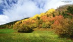 AUTUNNO 2