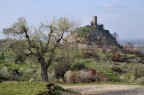 Torre degli Upezzinghi - Caprona Pisa