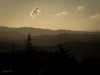 1/4000 - f4,5 - iso 160 - 85mm