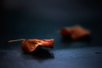 L'autunno