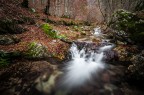 autunno