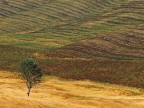Toscana