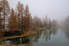 Triste Autunno