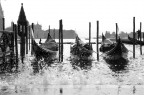Gondole sul Canal Grande nei pressi della Basilica di San Marco durante la fase crescente della marea.

Canon 550d + 18-135mm a 38mm 
F/25 1/160 sec 200 iso