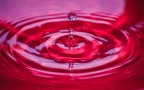 Drop
