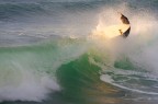 Surf Varazze