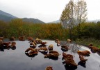 autunno