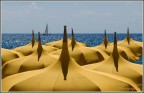 Nikon D90  -  VR 18-105
70mm.  -  ISO 200
1/1600sec.  -  F/10

Suggerimenti e critiche sempre ben accetti