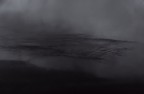 Trama di un temporale..