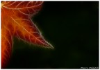 tanto x sperimentare con fractalius