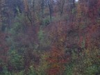 colori d'autunno