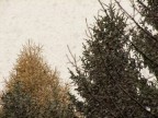 Cambio di stagione