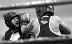 Boxe 5