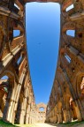 Abbazia di San Galgano (3)