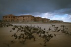 Terra desolata