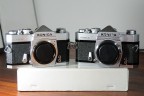 Nikon D300, Nikkor Afd 28-105mm/f3.5-4.5@60mm, f5.6, 1/250, 200 ISO