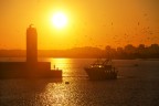 Bari