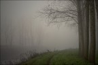 ...solo il rumore dei passi...