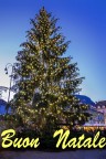 Un sincero augurio di un sereno Natale a tutti gli utenti del forum. Carlo