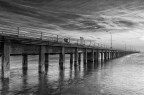 Pontile