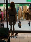 L'appuntamento