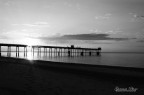 pontile in B&W...