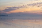 I colori dell'alba I colori dell'alba