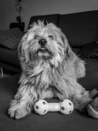 Teo