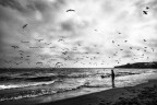 gli uccelli lo sapranno che gli uomini non volano?