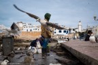 La foto fa parte di un lavoro test effettuato per Fujifilm a Marrakech. Il test  stato fatto su una Fujifilm X-E2, XF 18-55mm F2.8/4 e XF 23mm F1.4 

Dati di scatto: 
200ISO 
1/180 
F13 
44mm