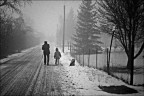 la strada la strada