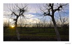 il sole che scende