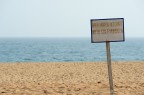 On the beach