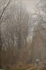 Alone in the Winter