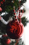 Ci che resta del Natale...