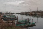 foto scattata in piallassa zona valiva nei dintorni di Ravenna