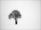 One