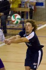 Volley