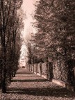 SWEET ALLEY