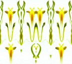 .... domani sar primavera