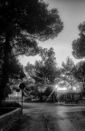 Un luogo del mio paese in genere molto vissuto che in quel giorno particolare era totalmente desolato. Mi ha colpito questo aspetto nonch il fascino del sole tra le fronde degli alberi per cui, di passaggio, ho voluto immortalare il momento. Lo scatto  stato fatto da un cellulare quindi non ha molte pretese tecniche. Grazie a chiunque inteverr. 
Commenti e critiche ben accetti! Smile