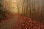 Autunno