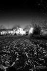 Letto di foglie