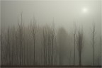 Impressioni...
