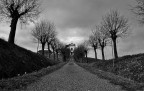 Lungo il viale