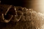 particolare di tegole su un tetto